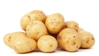 ジャガイモ,potato